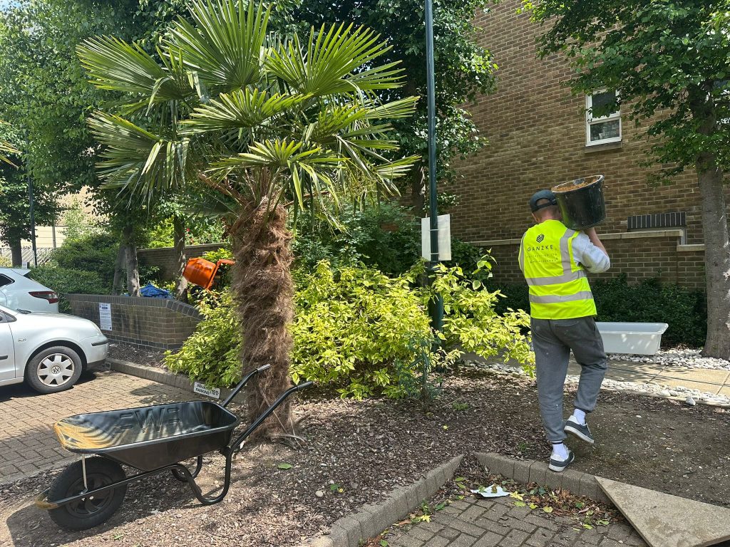 property maintenance works London