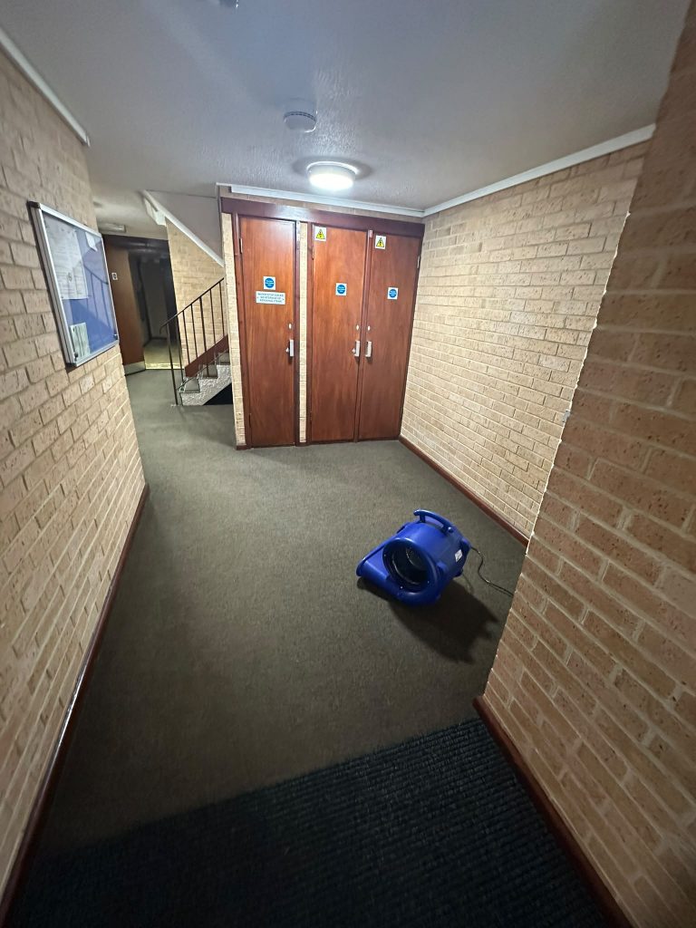 professional carpet cleaning equipment in communal area